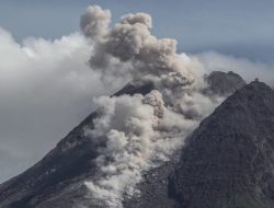 Gunung Merapi Luncurkan Awan Panas Sejauh 1 Km ke Kali Putih, Status Siaga